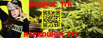 крисы Будённовск