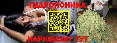 крисы Будённовск