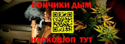 крисы Будённовск