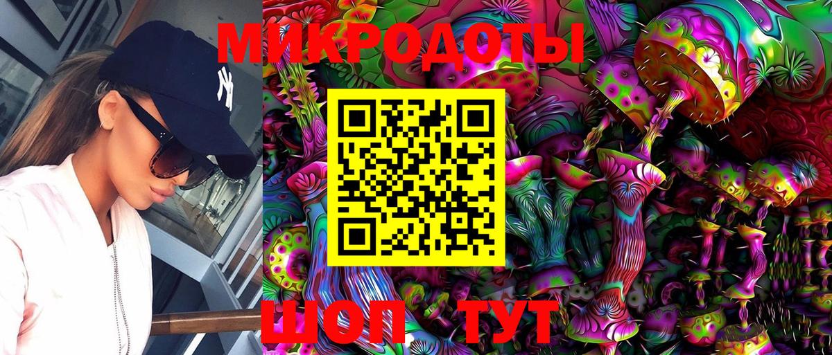 Галлюциногенные грибы Psilocybe Чайковский