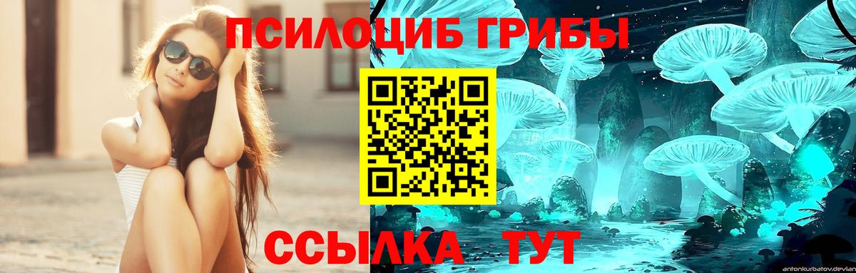 Псилоцибиновые грибы Psilocybe  Вход с VPN  Псилоцибиновые грибы Psilocybe  Чайковский 